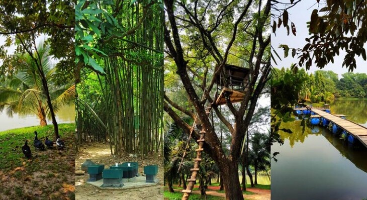 সবুজের ছায়ায় একদিন: ঢাকার কাছে নিসর্গঘেরা জিন্দা পার্ক সবুজের ছায়ায় একদিন: ঢাকার কাছে নিসর্গঘেরা জিন্দা পার্ক
