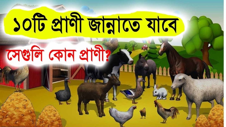 জীবজগতে সম্মানিত ১০ প্রাণী, যারা পাবে জান্নাতের পুরস্কার! জীবজগতে সম্মানিত ১০ প্রাণী, যারা পাবে জান্নাতের পুরস্কার!